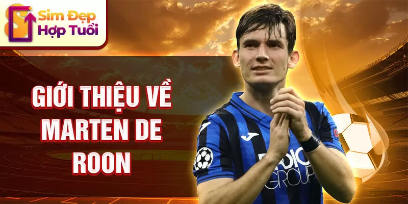 Giới thiệu về Marten de Roon