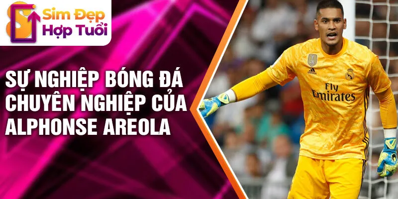 Sự nghiệp bóng đá chuyên nghiệp của Alphonse Areola