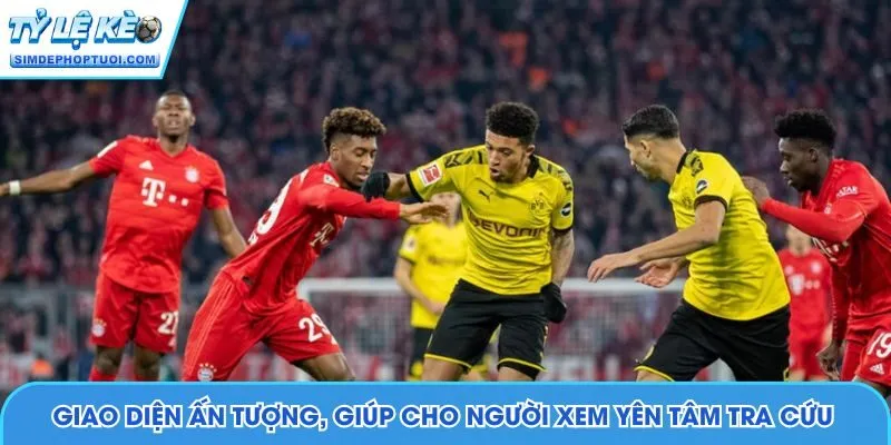 Giao diện ấn tượng, giúp cho người xem yên tâm tra cứu