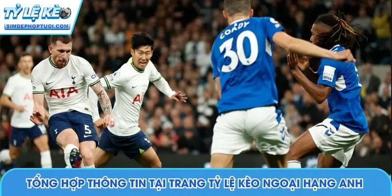 Tổng hợp thông tin tại trang Tỷ Lệ Kèo Ngoại Hạng Anh