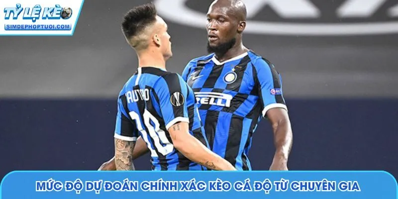 Mức độ dự đoán chính xác kèo cá độ từ chuyên gia